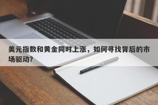 美元指数和黄金同时上涨，如何寻找背后的市场驱动？